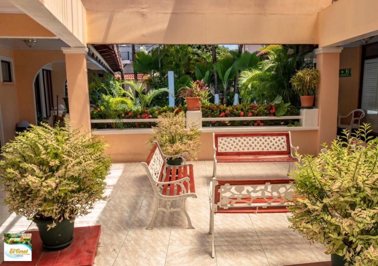 Hotel Y Cabinas El Coral ハコ エクステリア 写真